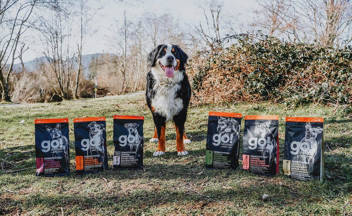 Что такое холистик корм и почему именно им лучше всего кормить любимого питомца