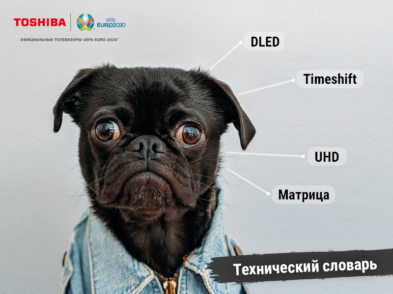 Выбираем телевизор. О сложных терминах простым языком