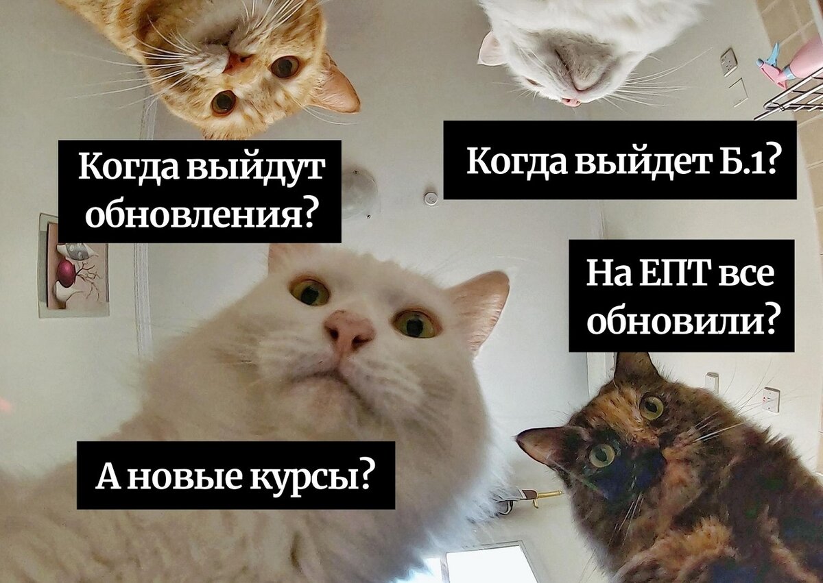 Когда будут обновленные курсы «ОЛИМПОКС»?