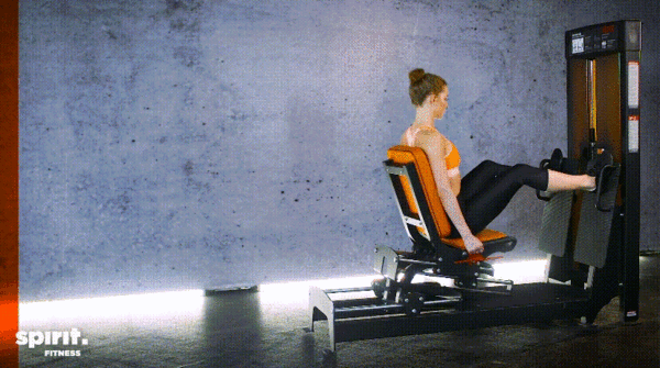 6 упражнений, чтобы держать тело в тонусе