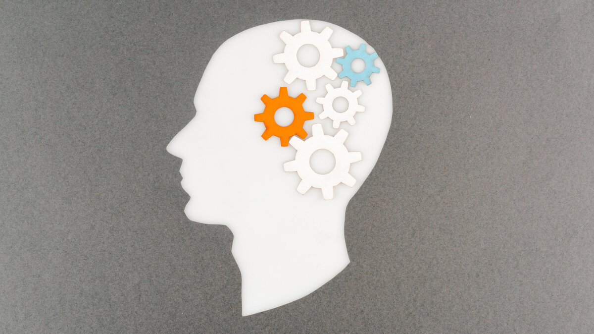 Никогда не поздно: 11 способов развития мозга