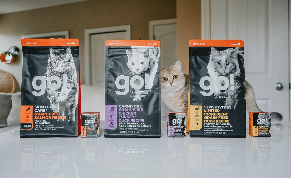 Стоит ли переплачивать за бренд? Рассказываю, чем я кормлю своего породистого котенка