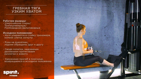 6 упражнений, чтобы держать тело в тонусе