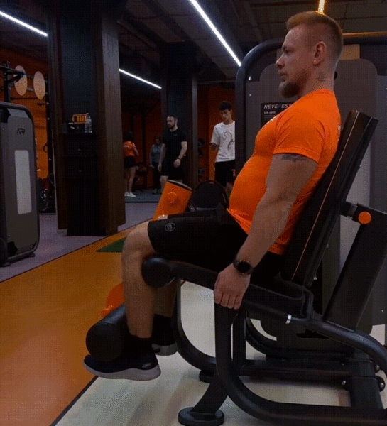 Простая тренировка для начинающих на все тело