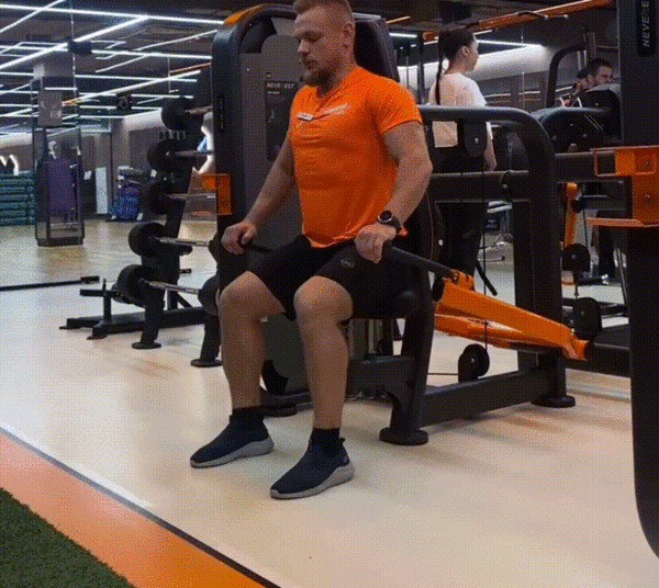 Простая тренировка для начинающих на все тело