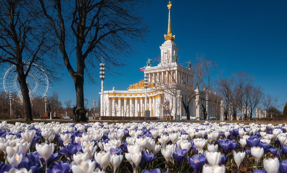 «Играй в Москву!»: как провести время с детьми в столице