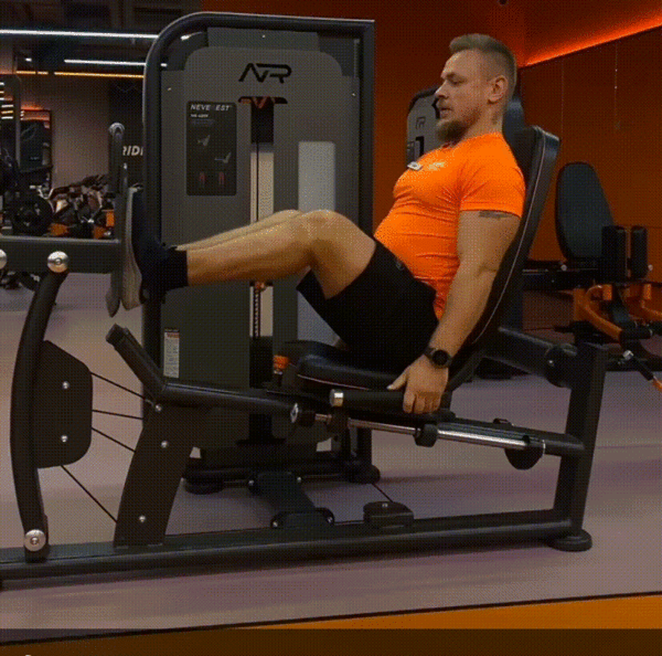 Простая тренировка для начинающих на все тело