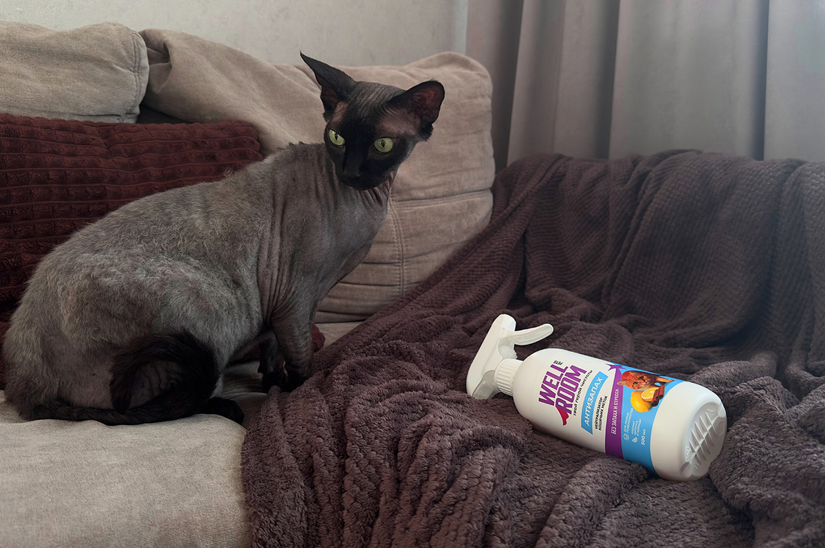 Котик есть — запахов нет. Какое средство помогло?