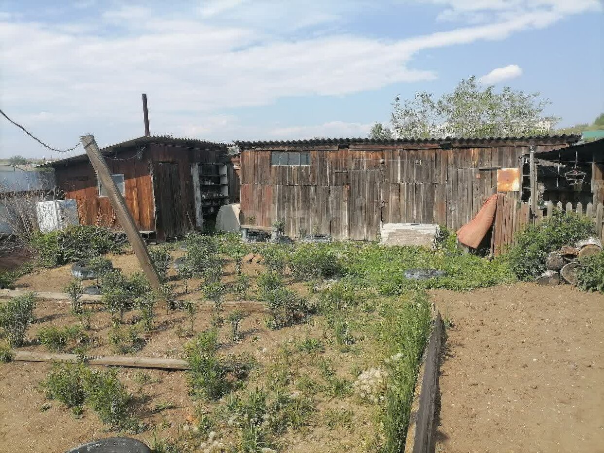 Квартира 1-комн. 49.4 м² в Нерчинск — фото 13 из 17