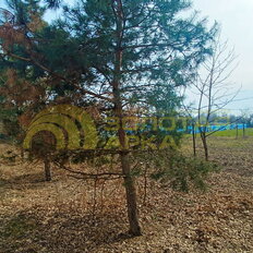 25 соток, участок - изображение 2