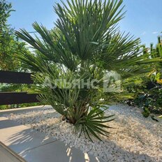 дом + 8 соток, участок - изображение 5