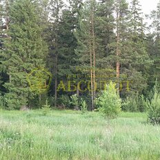 15,4 сотки, участок - изображение 1