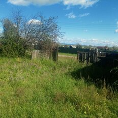 12 соток, участок - изображение 5