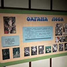 145,7 м², дом - изображение 1