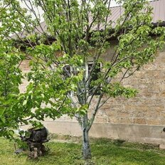дом + 5 соток, участок - изображение 4