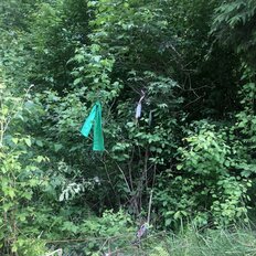 30 соток, участок - изображение 1