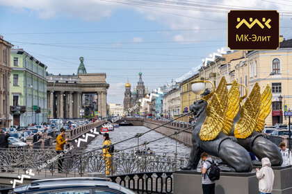 Снять однокомнатную квартиру с раздельным санузлом у метро Новочеркасская (оранжевая ветка) в Санкт-Петербурге и ЛО - изображение 17