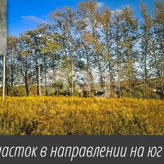 13,8 сотки, участок - изображение 3