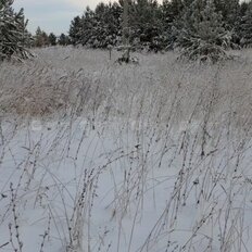 6 соток, участок - изображение 3