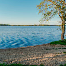 6 соток, участок - изображение 3