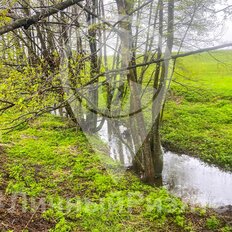 10 соток, участок - изображение 1