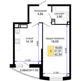 43 м², 1-комнатная квартира 5 500 000 ₽ - изображение 40