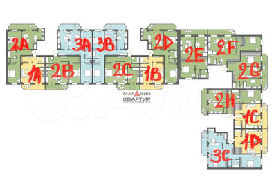 Квартира 83 м², 2-комнатная - изображение 2