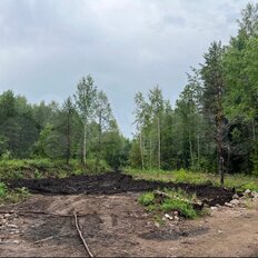 8,1 сотки, участок - изображение 1