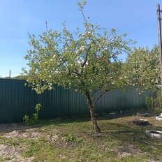 дом + 11,3 сотки, участок - изображение 5