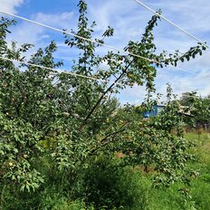 дом + 6 соток, участок - изображение 1