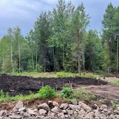 8,1 сотки, участок - изображение 2