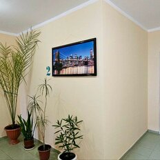 Квартира 24,4 м², студия - изображение 3