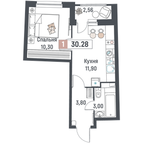 Квартира 30,3 м², 1-комнатная - изображение 1