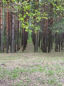 Снять квартиру с животными у метро Улица Дыбенко (оранжевая ветка) в Санкт-Петербурге и ЛО - изображение 29