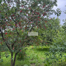 86,7 м², часть дома - изображение 5