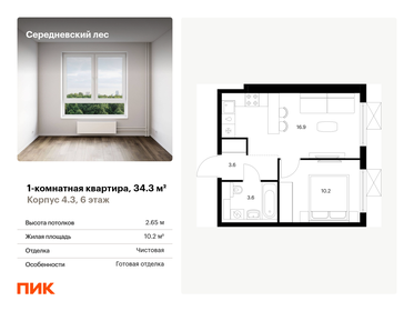 Квартира 34,3 м², 1-комнатная - изображение 1