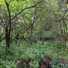 5,9 сотки, участок - изображение 4