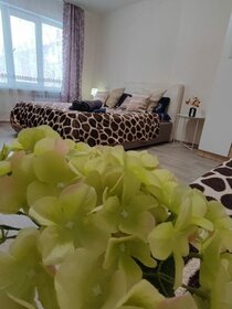 50 м², 2-комнатная квартира 4 500 ₽ в сутки - изображение 52