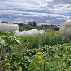 6 соток, участок - изображение 1