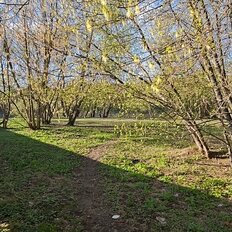 8 соток, участок - изображение 5