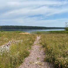 45 соток, участок - изображение 1