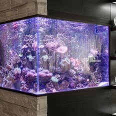 Квартира 250 м², 6-комнатная - изображение 2