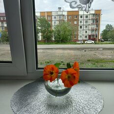 Квартира 47,4 м², 2-комнатная - изображение 1