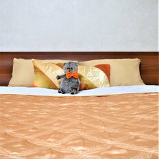 Квартира 30 м², 1-комнатная - изображение 1