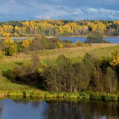 дом + 50 соток, участок - изображение 1