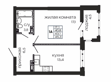 45,3 м², 1-комнатная квартира 9 739 500 ₽ - изображение 22