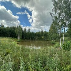 12 соток, участок - изображение 3