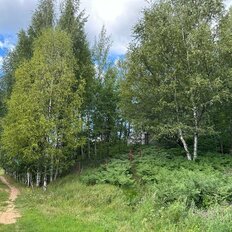 12 соток, участок - изображение 2