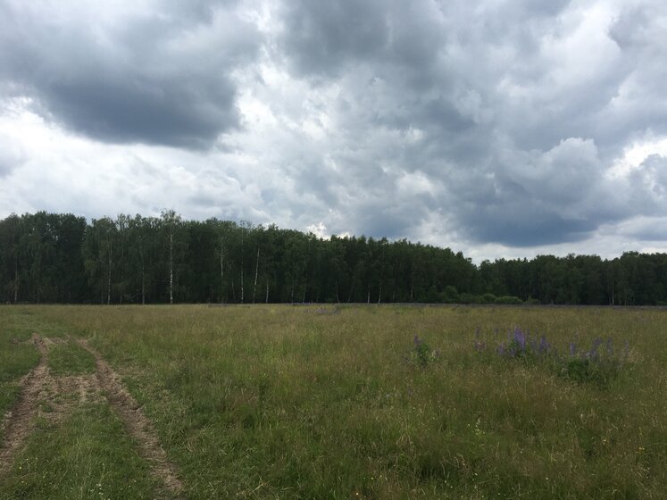 12 соток, участок 357 000 ₽ - изображение 44