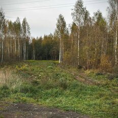 12 соток, участок - изображение 3